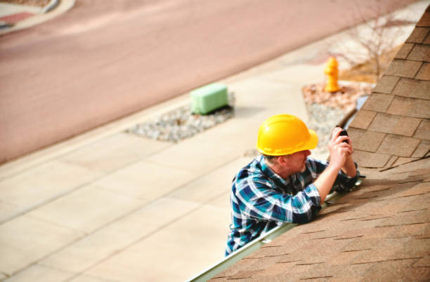 Best Roof Moss and Algae Removal  in Susan Moore, AL